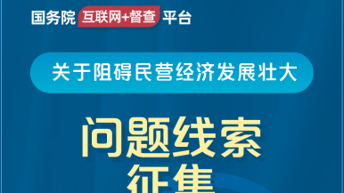 艹bb在线国务院“互联网+督查”平台公开征集阻碍民营经济发展壮大问题线索